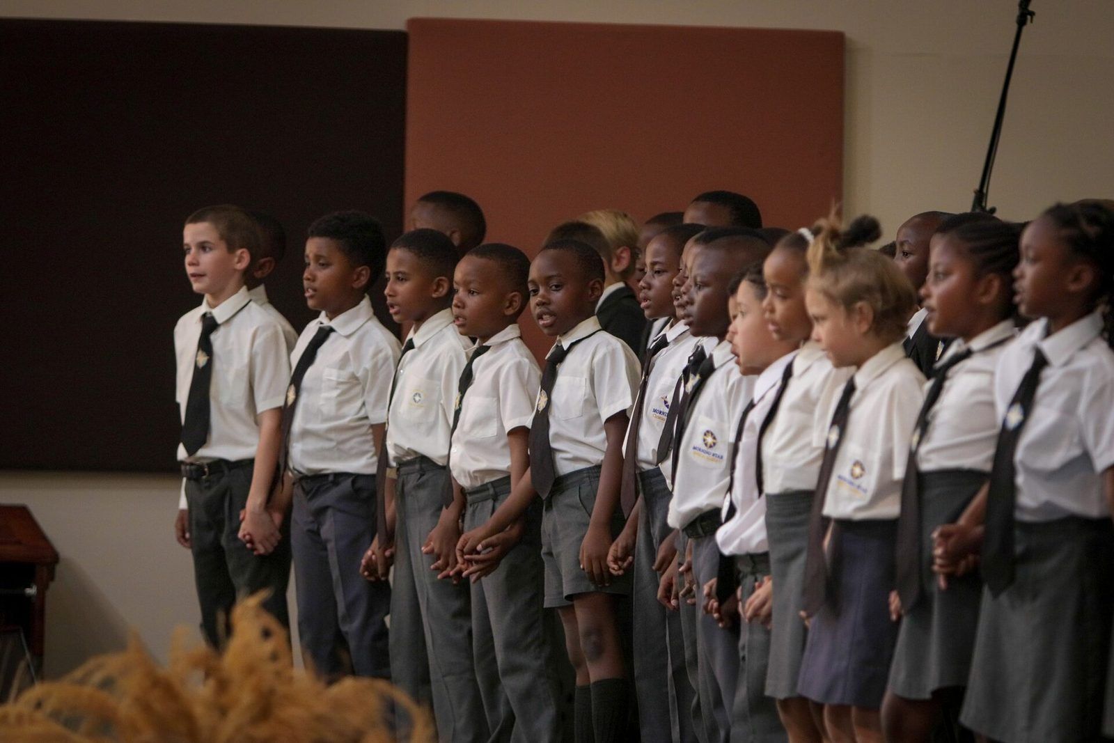 Morning Star Group of Schools - Our History